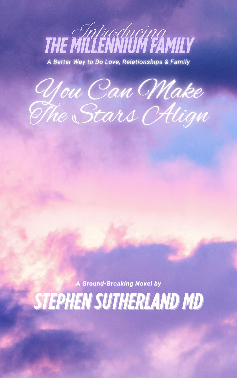 The Novel Cover